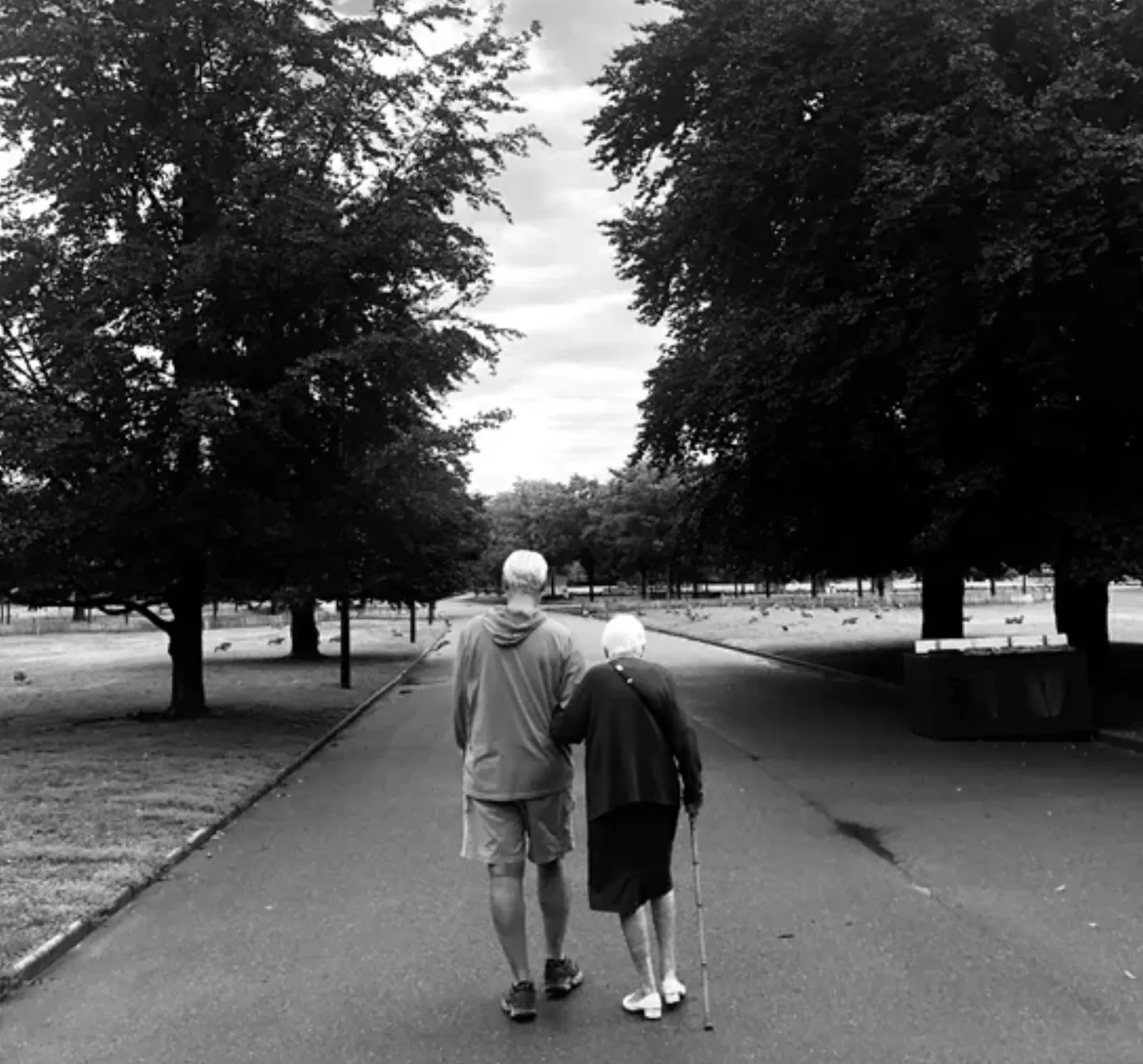 Parc de la Tête d'Or, Lyon — August 2019